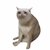 Cash Cat token logo